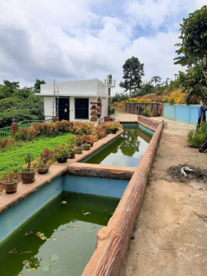 Farm House and Lot for sale