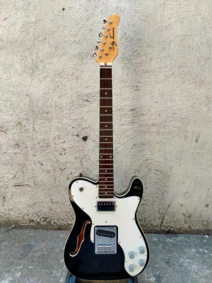 FS/FT: jay turser thinline custom