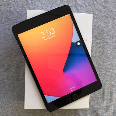 iPad Mini 4 64Gb Space Gray With Cellular