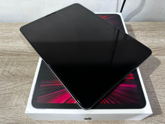 iPad Pro M1 Chip 11 inch 256GB Space Gray Wifi