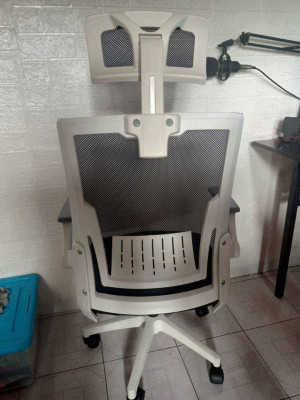 FS-Used but not abused! Ergonomic Chair