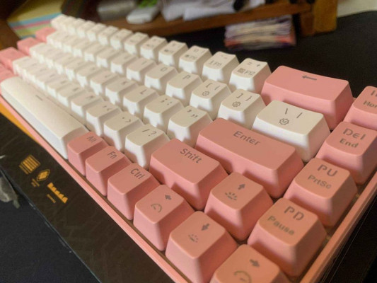 Rakk Diwa Mechanical Keyboard