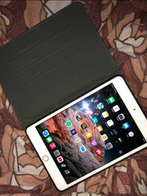 ipad mini 4 with sim