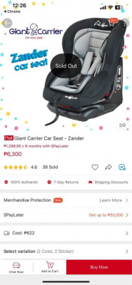 Giant Carrier Car Seat