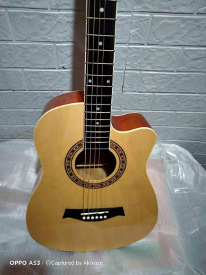 Brand New Arena Guitar