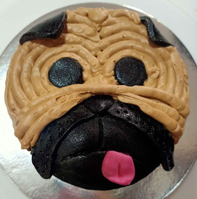 Cakes for Pets / Cake for Dogs and Cats