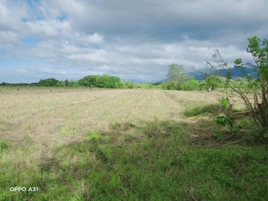 Lot - Lupao, Nueva Ecija