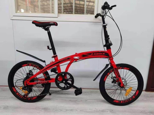 Folding Bike