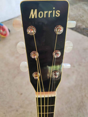 Morris MV-702 Vanguard Series Solid Top