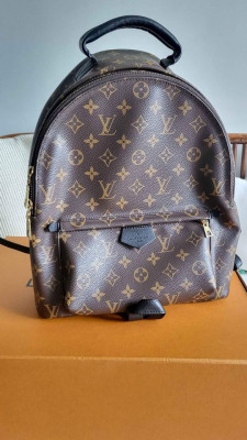 Louis Vuitton Palm Spring Backpack