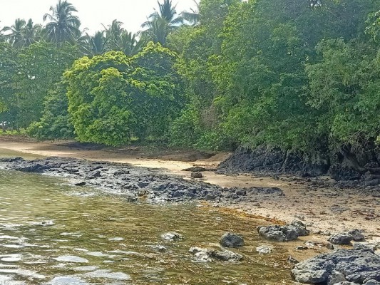 Property beach front