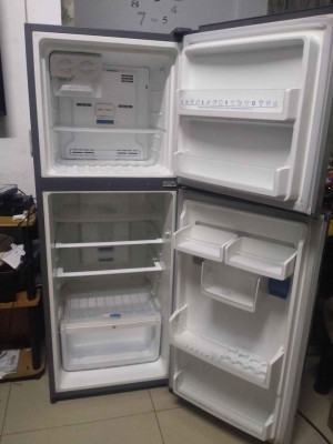 Electrolux double door