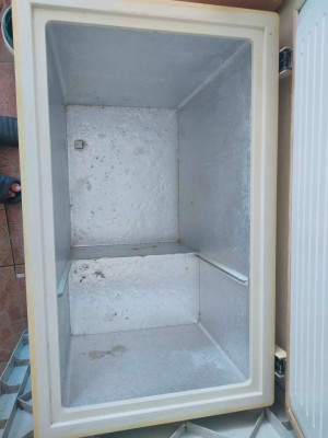 Fujidenzo freezer for sale