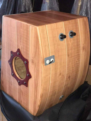 Beatbox with Pickup & Adjuster