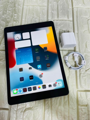 iPad 9th generation 64gb wifi