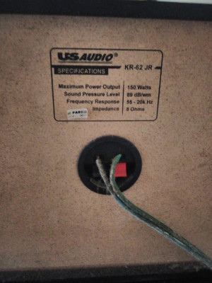 US Audio Karaoke Speakers