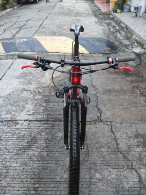 Mountainpeak Vulcan 29er