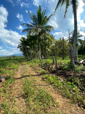 For Sale or Barter Lot