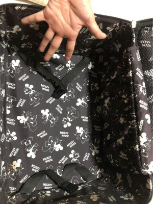 Handcarry Luggage (Mickey Mouse)