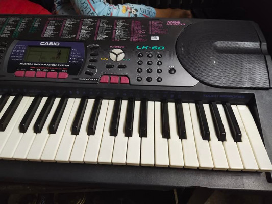 Casio LK-60 Touch Response