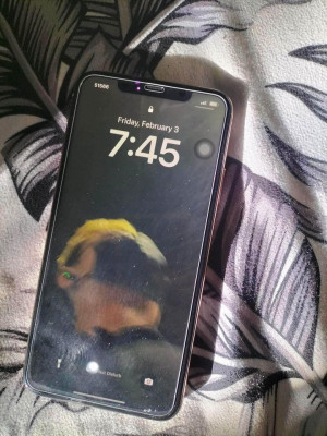 IPHONE 11 PRO MAX 256