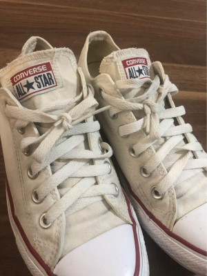 converse ( 24.5 CM)