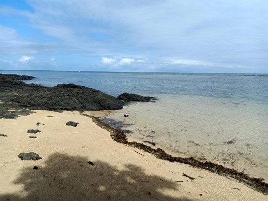 Property beach front