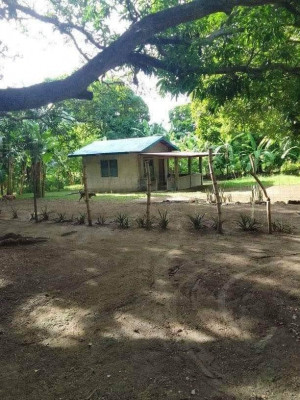 FARM WITH BUNGALOW HOUSE