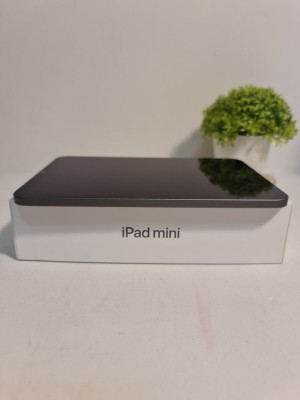 iPad Mini 6th Gen WiFi (64GB)