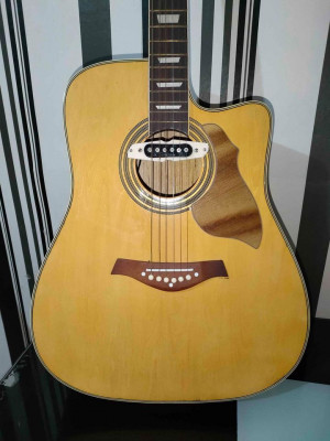 Acoustic Guitar with Pick up.