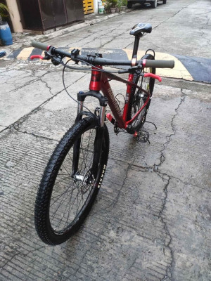 Mountainpeak Vulcan 29er