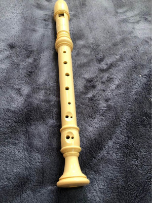 Flute for students