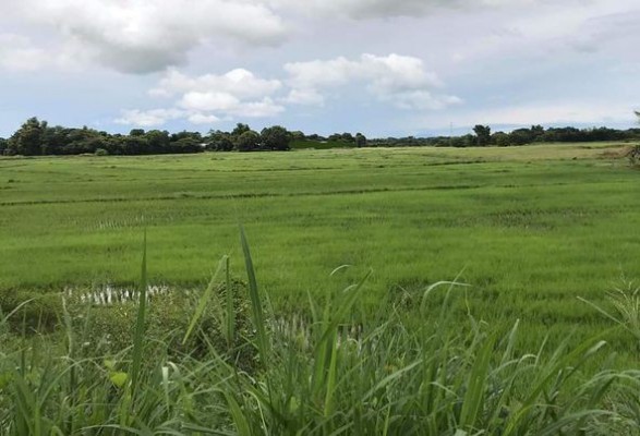 Lot - San Miguel, Bulacan