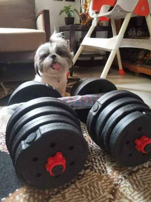 Dumbbell set