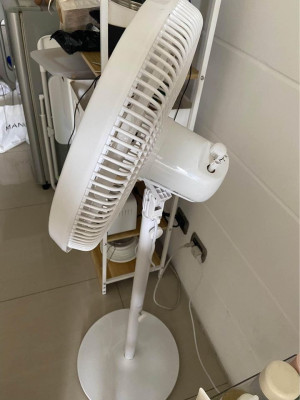 Deerma white electric fan