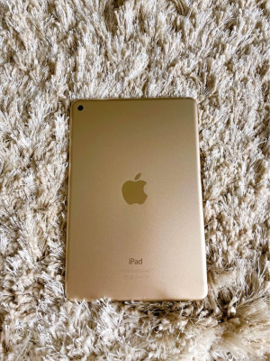 iPad Mini 4