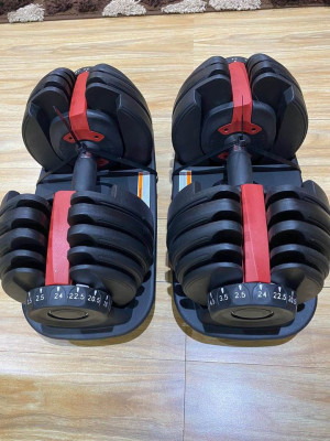 24KG ADJUSTABLE DUMBBELLS PAIR