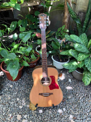 Handmade guitars for sale