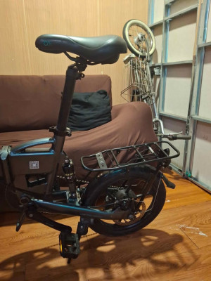 Fiido d2s folding electric bike