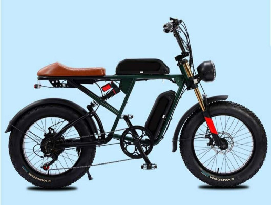 Electric Bike