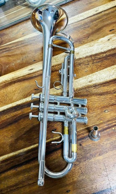 MTR500s MINERVA JAPAN TRUMPET