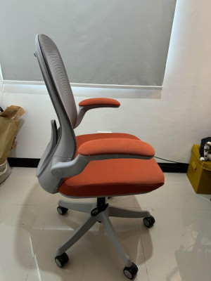 Ergonomic Chair