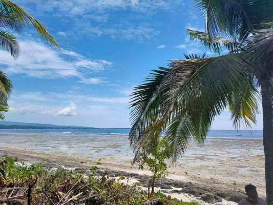 BEACHLOT IN BAGANGA