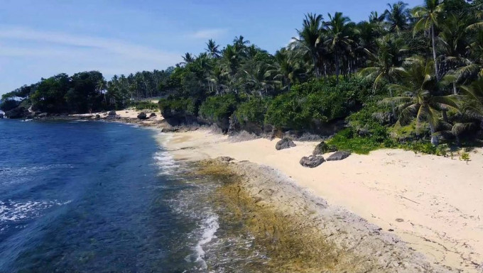 BEACH LOT SIARGAO FOR SALE