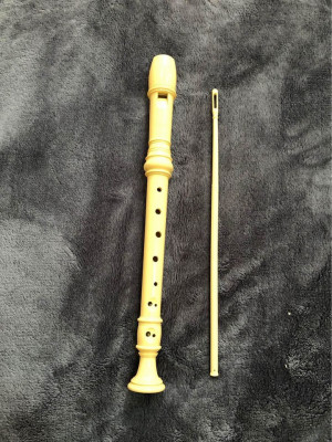 Flute for students