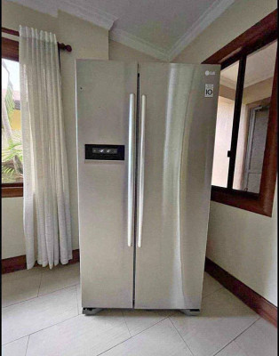 LG Butterfly Refrigerator Inverter