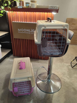 MEDIUM Size Pet Carrier (color BROWN & BLUE)