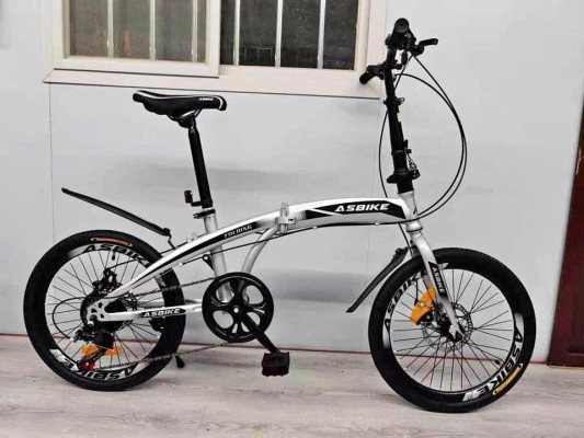 Folding Bike