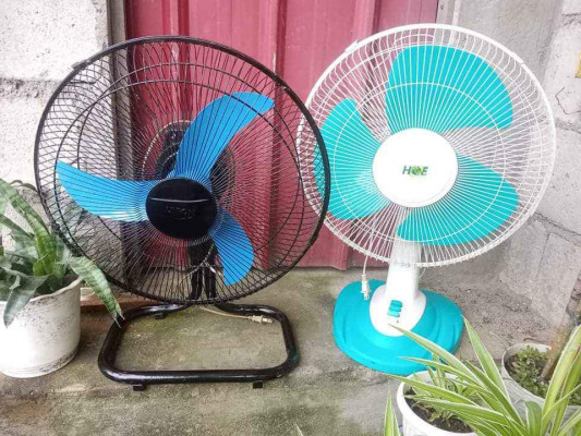 ELECTRIC FAN