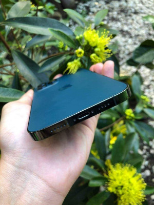 IPHONE 12 PRO MAX 128GB